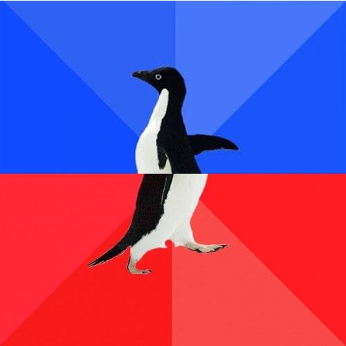 Socially Awkward Awesome Penguin meme template — Templates meme