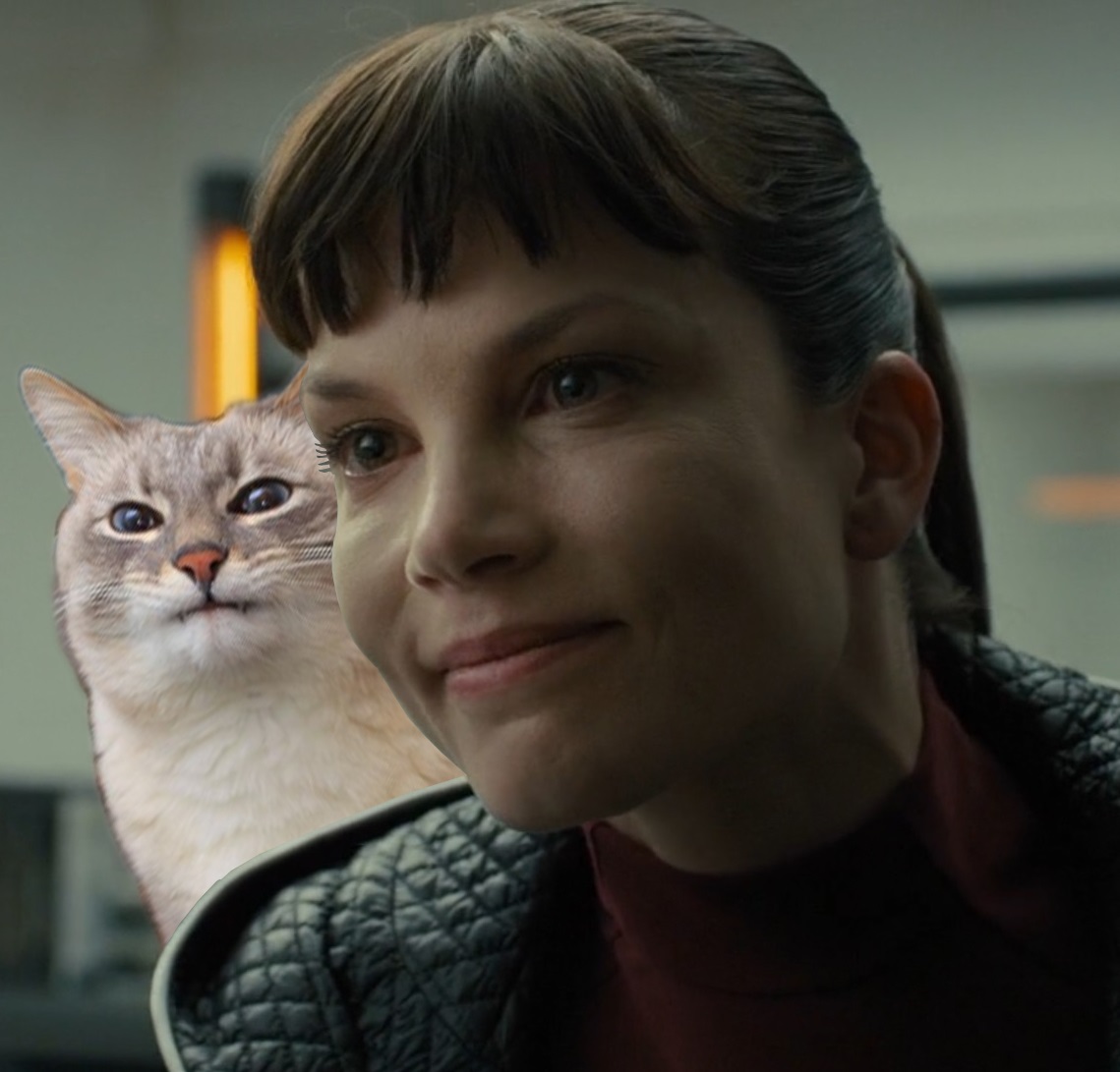 Intimidating cat lady bladerunner — Reaction meme