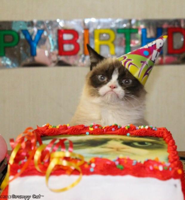 Grumpy Cat Birthday meme template — Templates meme