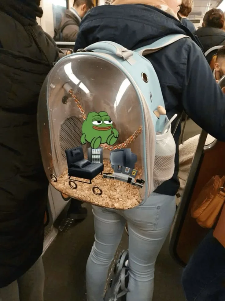 Cozy home — Apu meme