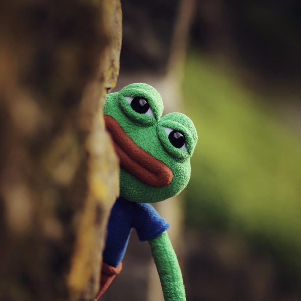 Pepe plush tree — Pepe meme