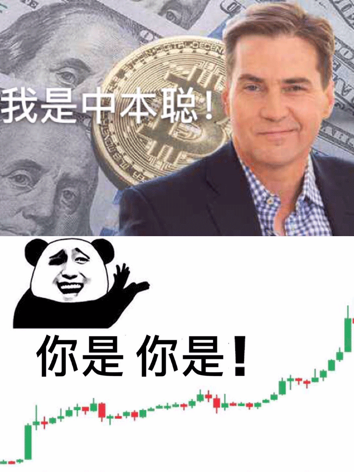 我是中本聪 — Reaction meme