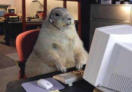 Call center ground hog — Reaction meme