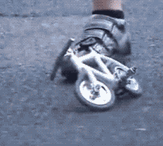 World's Smallest Bike Ride — Memes meme