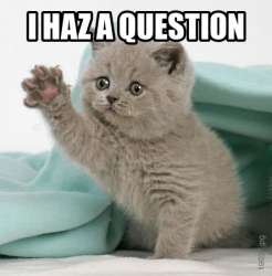 Cat haz question — Reaction meme