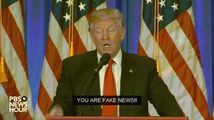 Trump "You Are Fake News!" Press Conference — Reaction meme