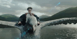 Harry Potter Flying — Reaction meme