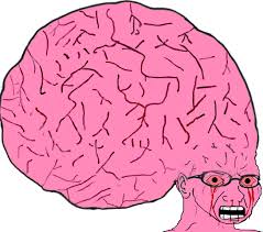 Pink wojak big brain glasses — Wojak meme