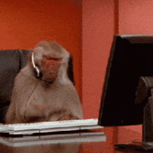 Baboon Call Center / Desktop PC — Reaction meme