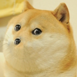Doge with eye nose — Reaction meme