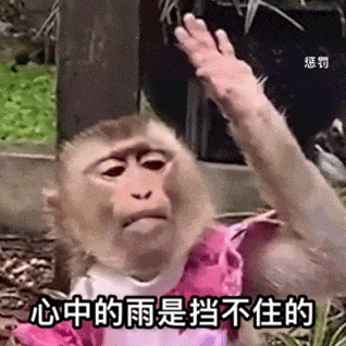 心中的雨是挡不住的 Can't Stop the Rain Inside the Heart — Memes meme