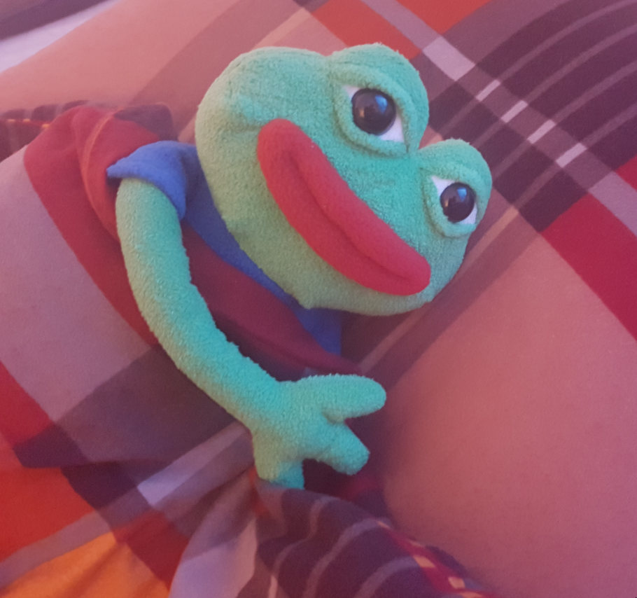 Pepe plush comfy bed — Pepe meme