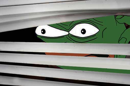Pepe peeks blinds — Pepe meme