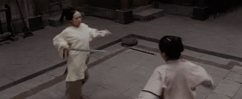 Yu Shu Lien vs. Jen Yu Weapons Courtyard Duel — Reaction meme
