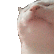 Cat bobbing head to beat — Reaction meme