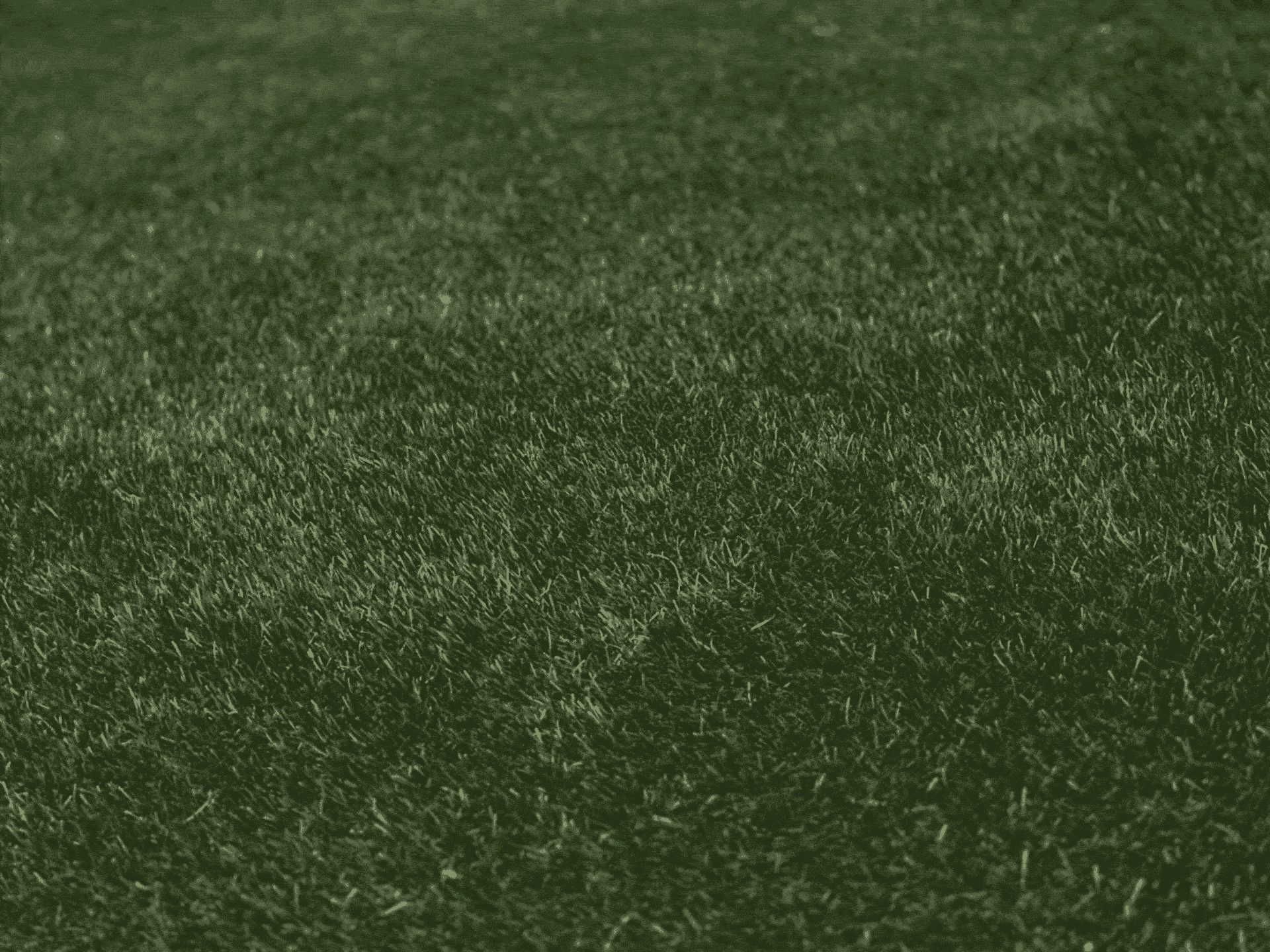 Grass #1 — Trippy meme