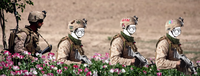 Zoomer marines patrolling afghanistan — Zoomer meme
