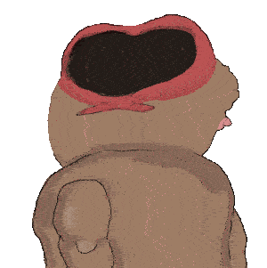 Pepe guy looking from behind — Pepe meme