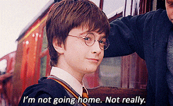 Harry Potter Not Really — Reaction meme
