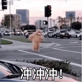 冲冲冲！ — Reaction meme