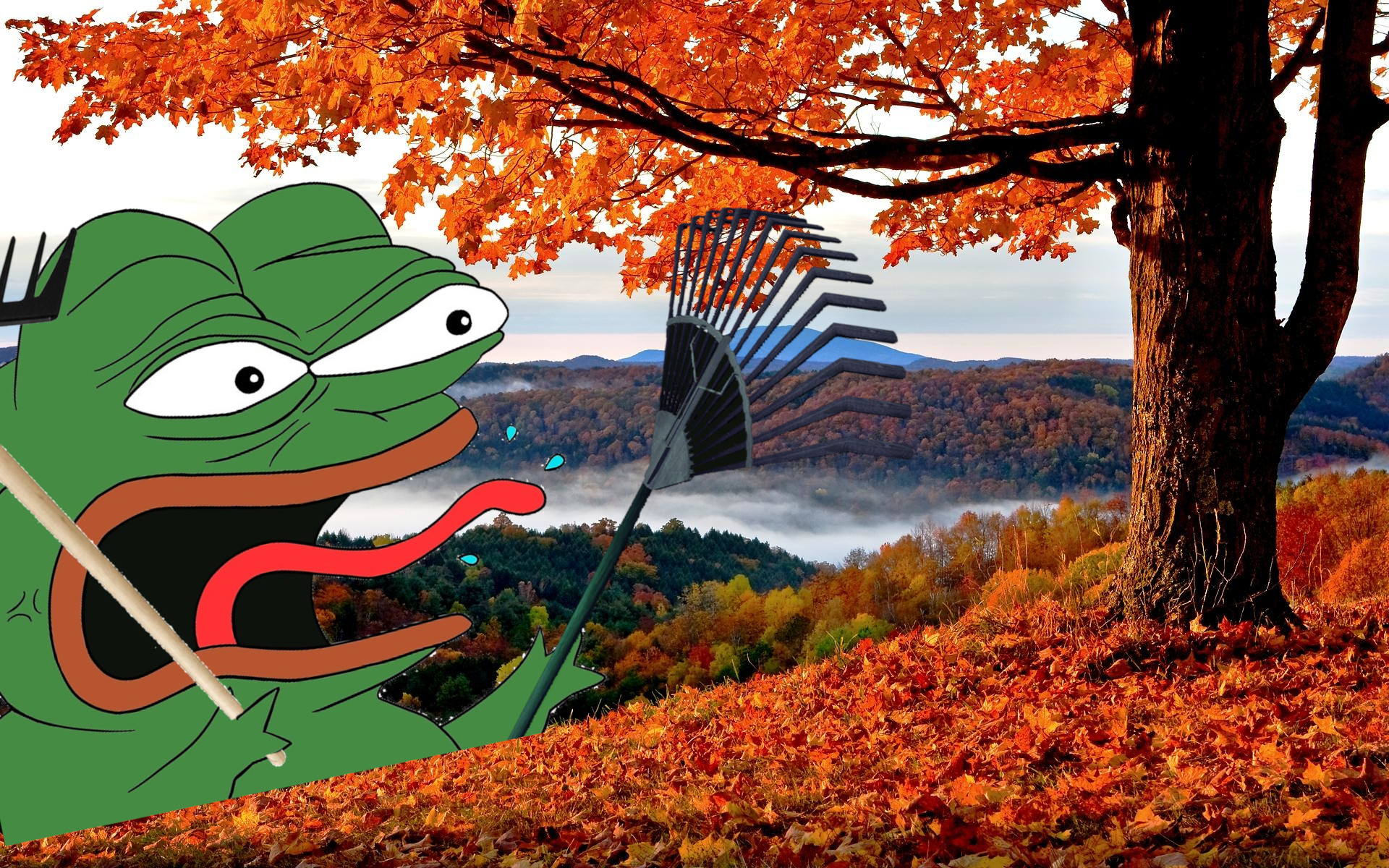 Pepe leaves angry rake — Pepe meme