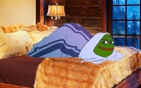 Pepe comfy cocoon bed — Pepe meme