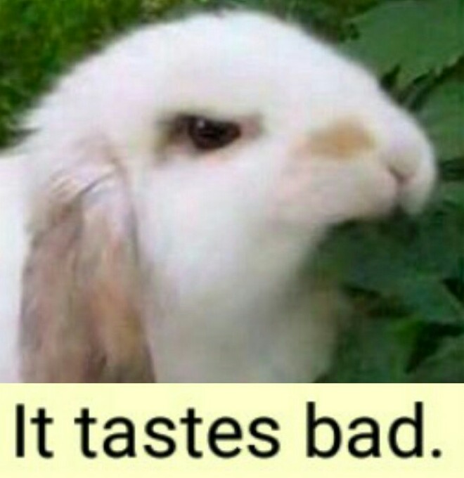 Pissed off rabit — Reaction meme
