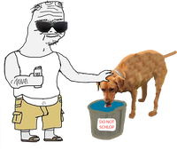 Boomer schlop dog — Boomer meme