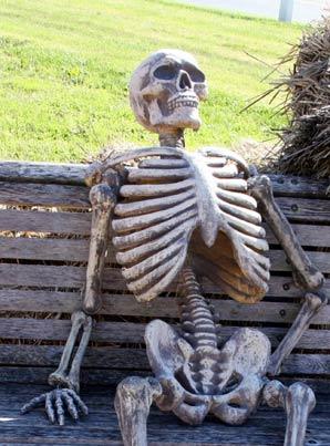 Waiting Skeleton meme template — Templates meme
