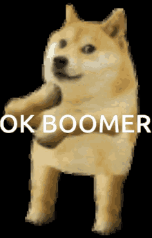 Ok boomer shibe — Reaction meme
