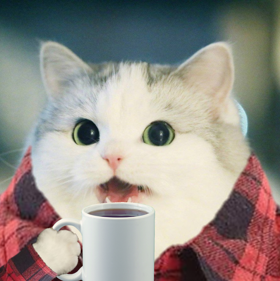 Comfy cat drinking coffee — Reaction meme