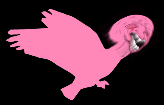 Pink wojak bird — Wojak meme