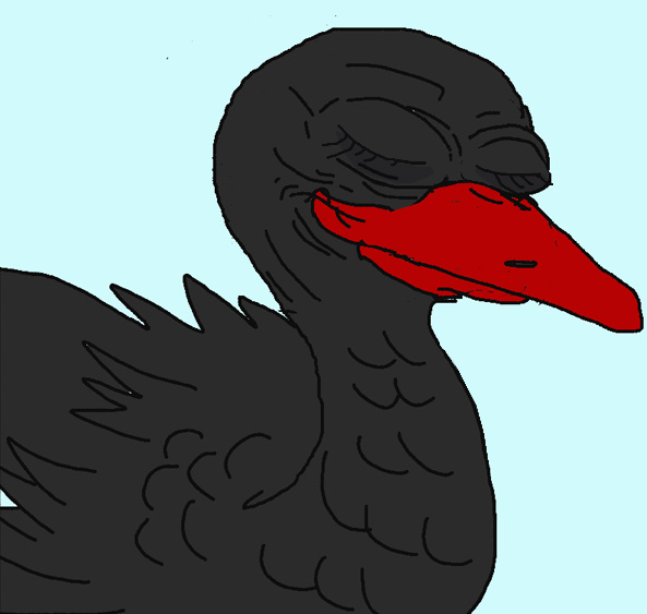 Pepe black swan sleeping — Pepe meme