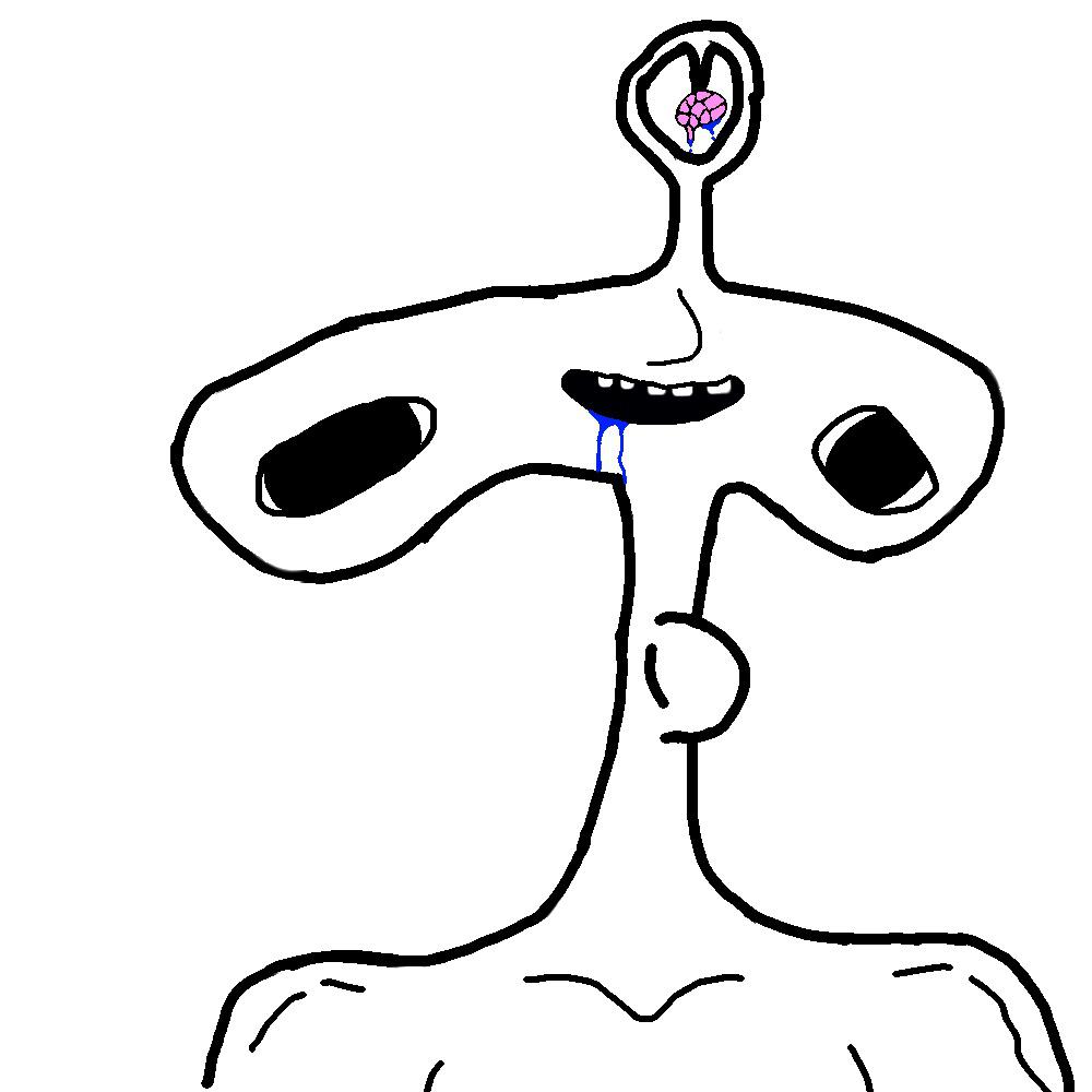 Brainlet hammerhead small brain — Brainlet meme