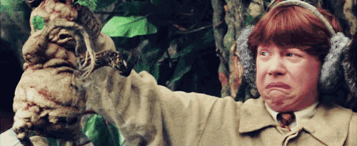 Ron Weasley Disgusted — Reaction meme