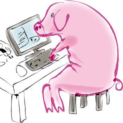 Pig at computer — Reaction meme