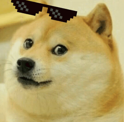 Deal With It Doge / Thug Life Doge — Reaction meme