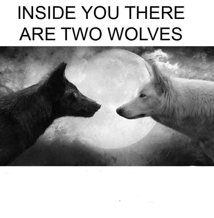 Inside you there are two wolves meme template — Templates meme