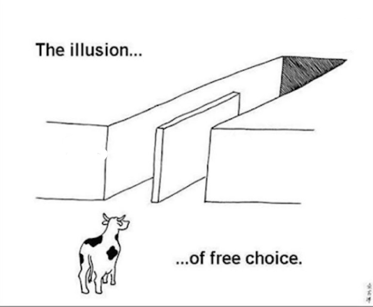 Illusion of free choice meme template — Templates meme