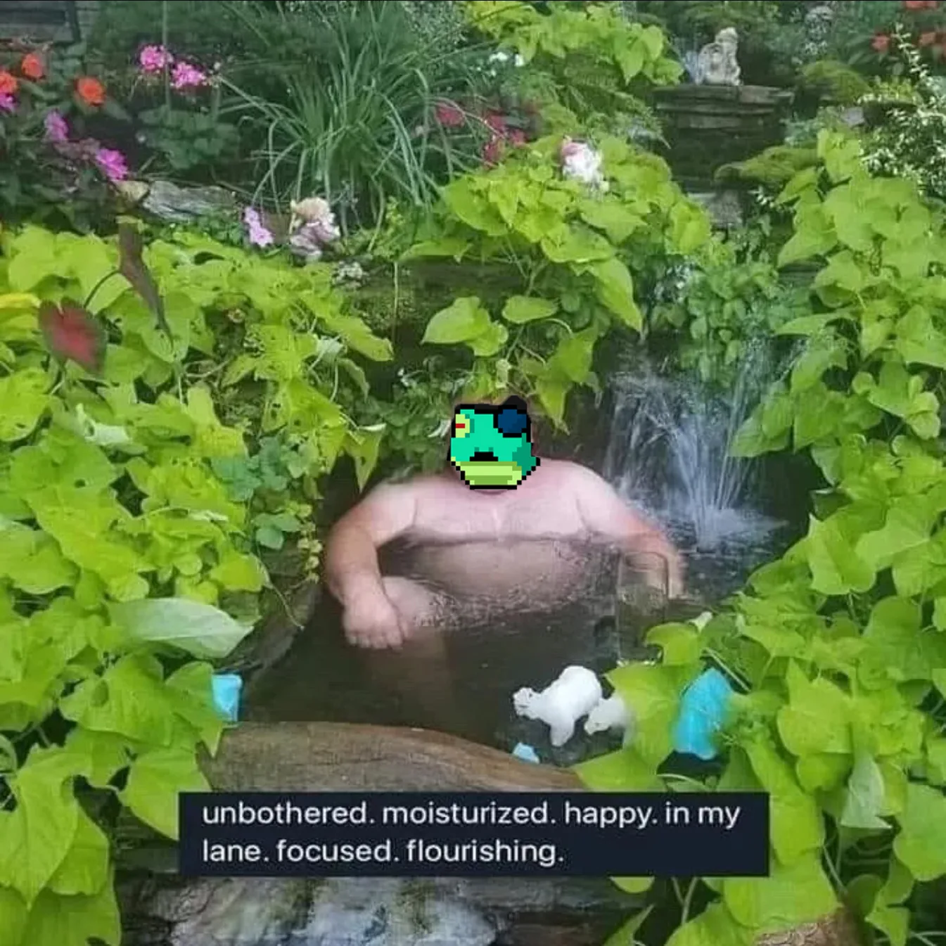 Unbothered — Twetch meme