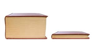 Big book small book meme template — Templates meme