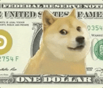 Dancing Doge Dollar Bill — Memes meme