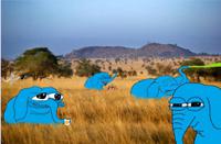 Pepe blue elephants on sahara — Pepe meme