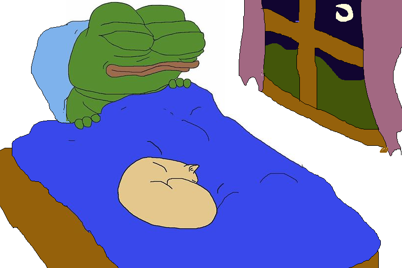 Pepe sleeping cat on bed light — Pepe meme