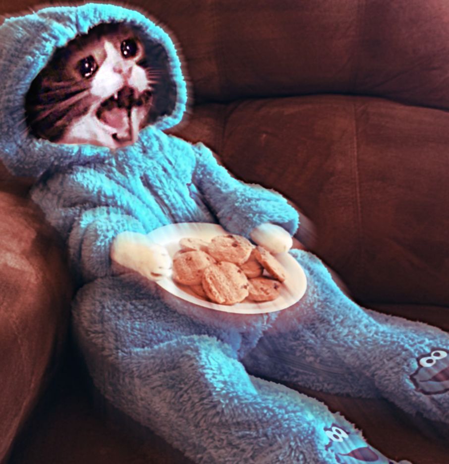 Cat crying in blue suit — Reaction meme