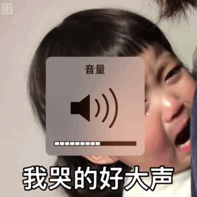 我哭的音量加大 — Reaction meme