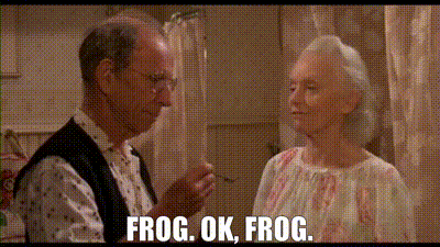 Faye says Frog — Memes meme