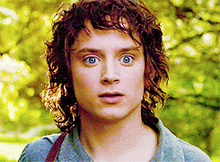 Frodo Smiles — Reaction meme