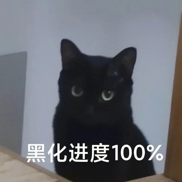 黑化进度100% — Reaction meme