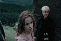 Hermione Granger Punch Draco Malfoy — Reaction meme